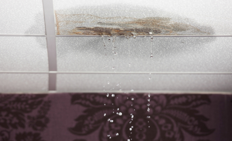 Plumber Hinchinbrook